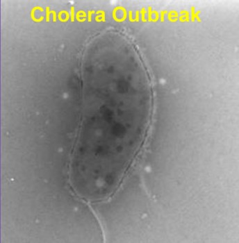 Cholera Outbreak in Haiti