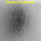 Cholera Outbreak Haiti